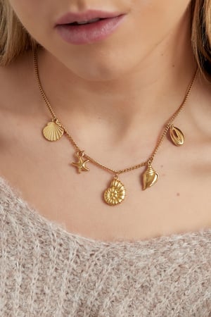 Charm necklace summer lovin' - Gold color h5 Picture2